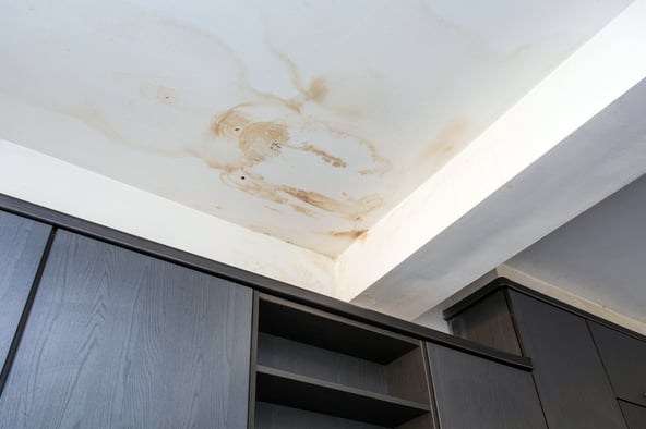 decra-metal-roofing-web-roof-replacement-water-damage