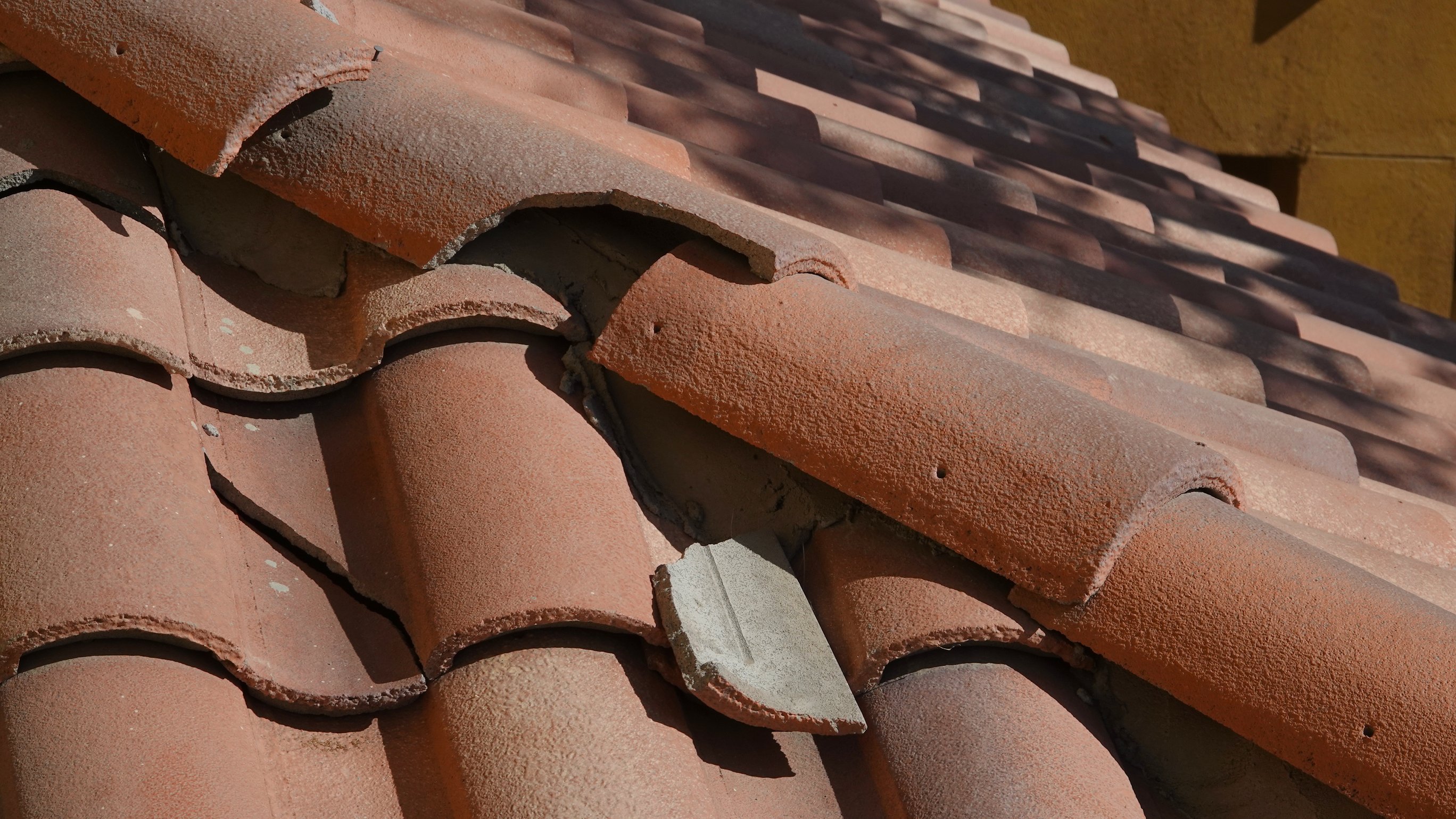 Image showcasing Easy-to-Maintain Roofing: 4 Things to Look for in a Low-Maintenance Roof