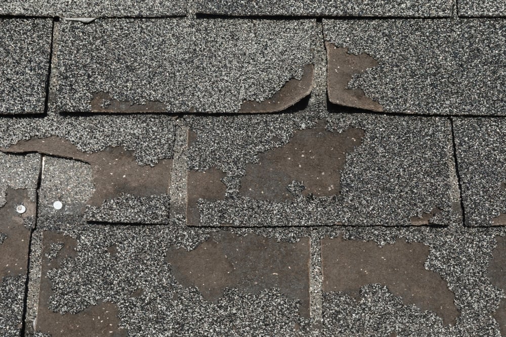 roofing-maintenance-uv-asphalt-shingle-roof